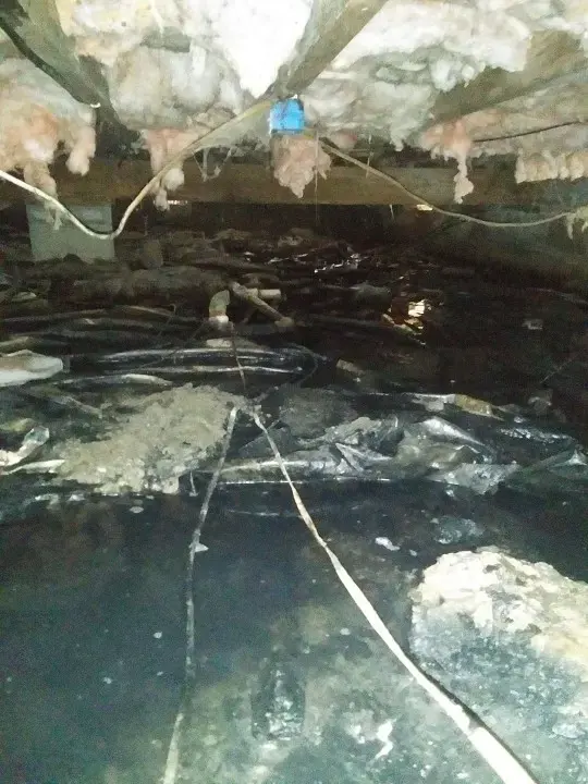 Water and fallen insulation in a flooded crawl space under a Federal Way home